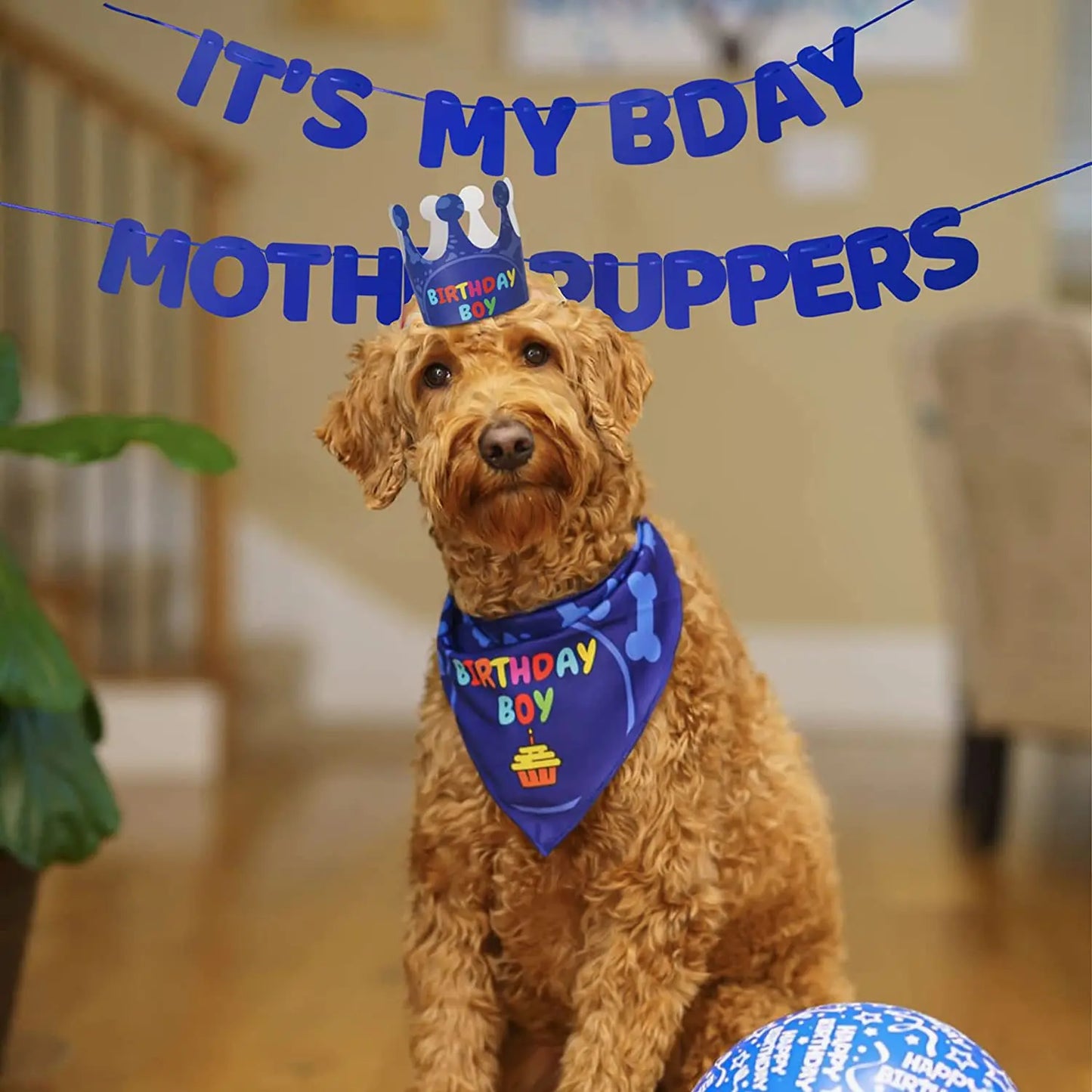 Dog Birthday Party Bandana Set