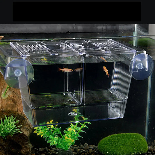 Acrylic Fish Breeding & Isolation Box for Aquariums