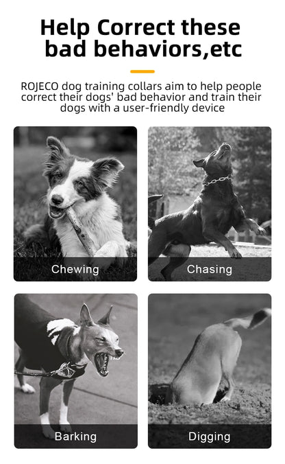 Rechargeable Remote Dog Training Collar