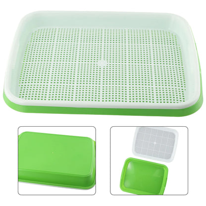 Microgreens Sprouting Tray
