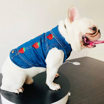 Denim Dog Jacket with Hood