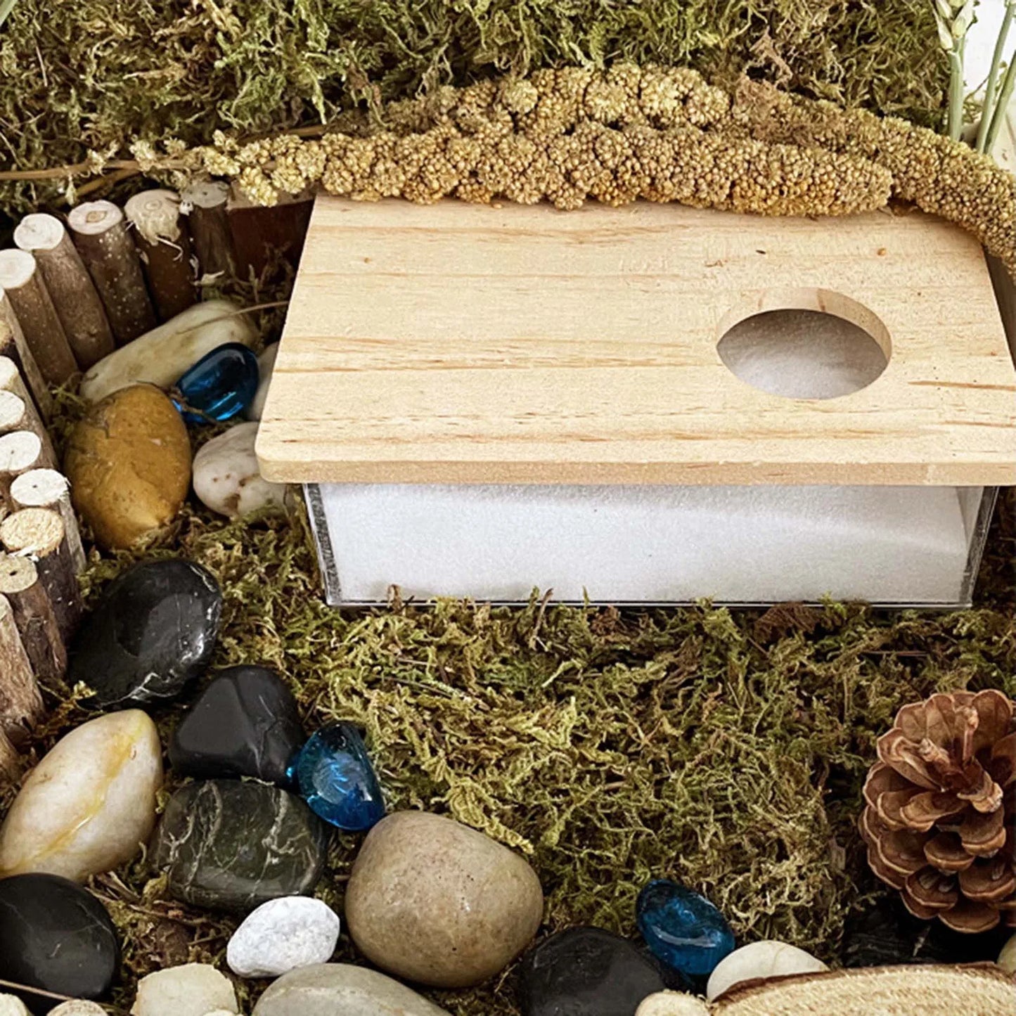Acrylic Hamster Sand Bath House