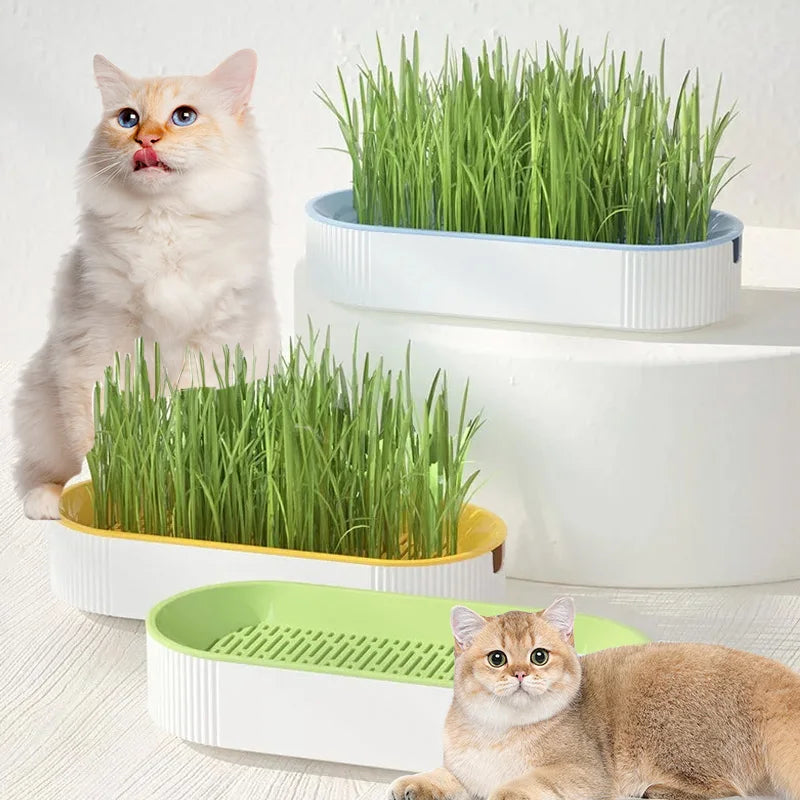 Hydroponic Cat Grass Growing Kit