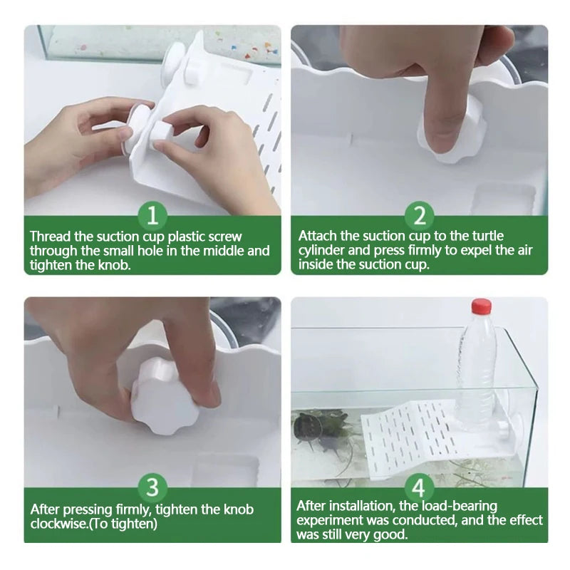 Transparent Floating Turtle Dock with Climbing Ramp