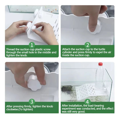 Transparent Floating Turtle Dock with Climbing Ramp