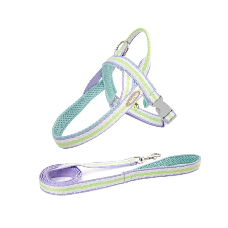 Colorful No-Pull Adjustable Dog Harness
