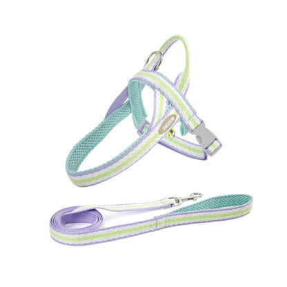 Colorful No-Pull Adjustable Dog Harness