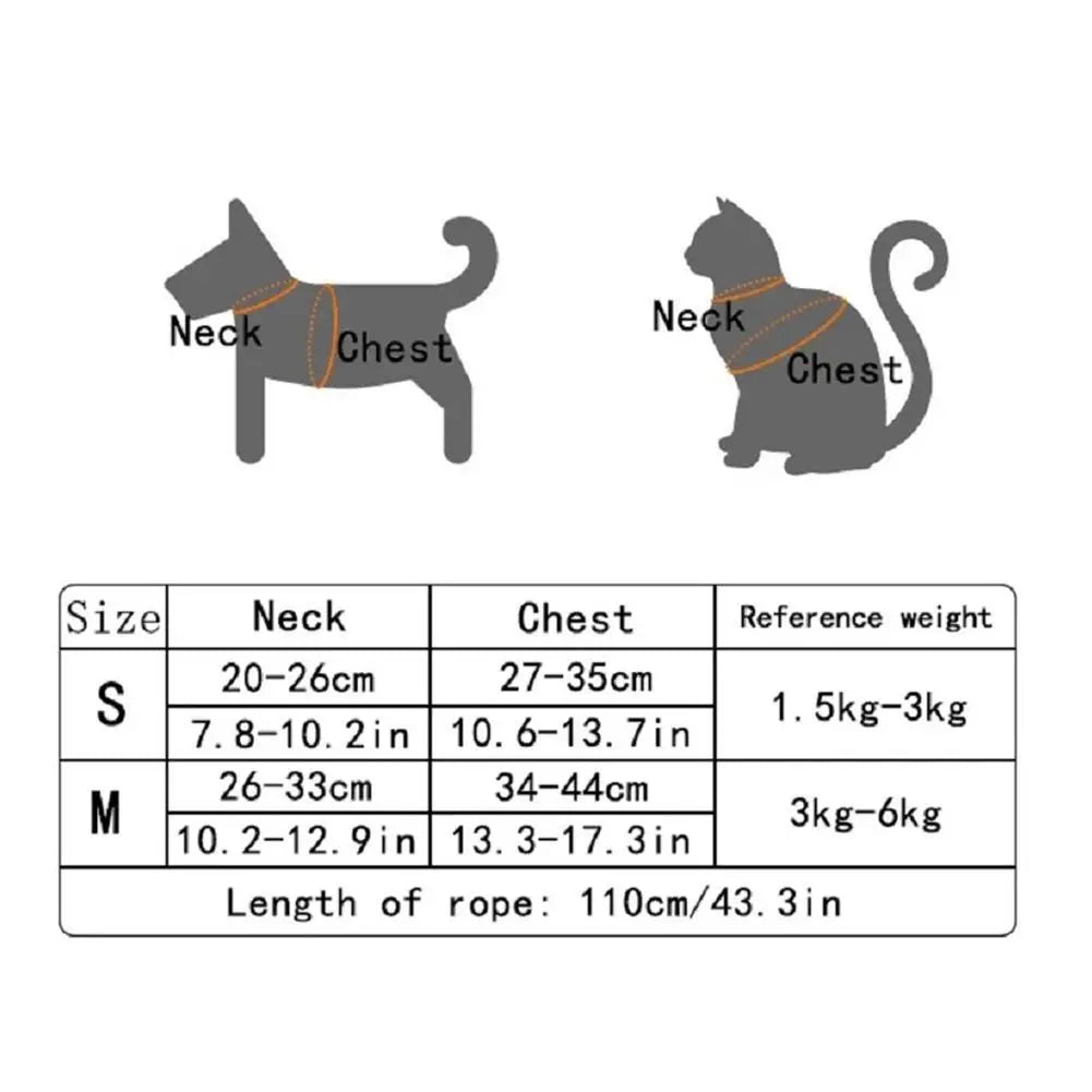 Bear Pet Harness & Leash Set for Small Dogs & Cats