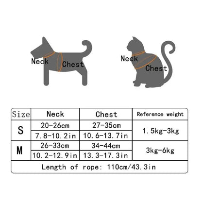 Bear Pet Harness & Leash Set for Small Dogs & Cats