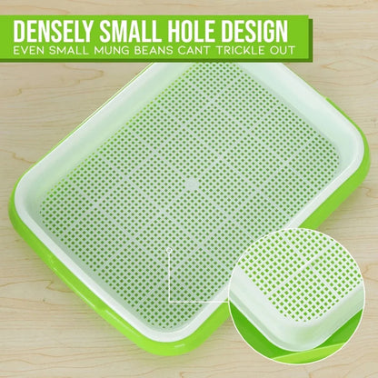 Microgreens Sprouting Tray