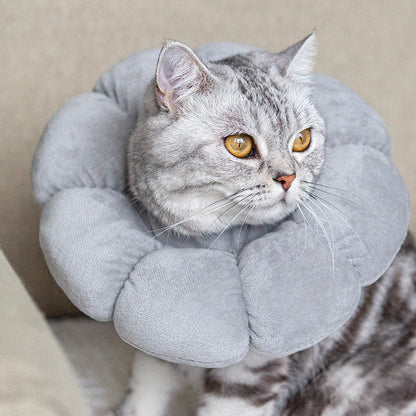 Sunflower Recovery Collar for Cats & Small Dogs