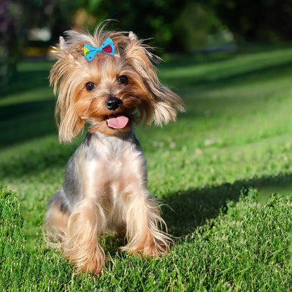 10Pcs Cute Pet Hair Bow Accessories
