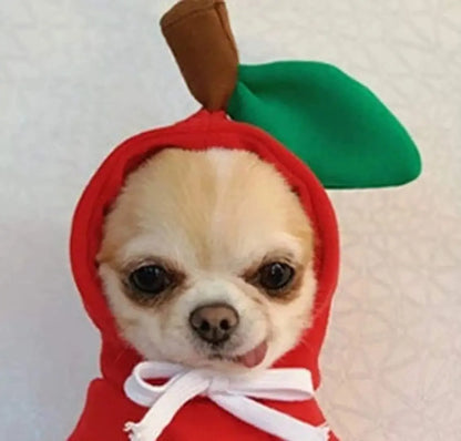 Cute Fruit Pet Hoodie Costume