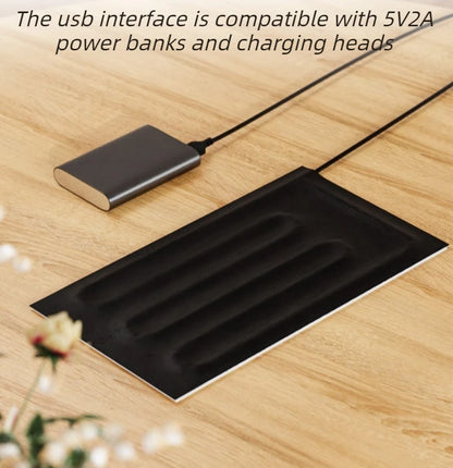 USB Reptile Heating Pad with Temperature Control Timer
