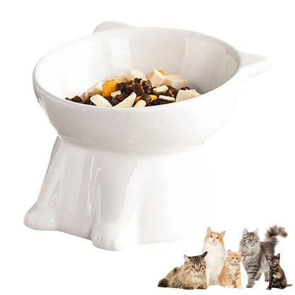 Elevated Cat Bowl with Non-Slip Base