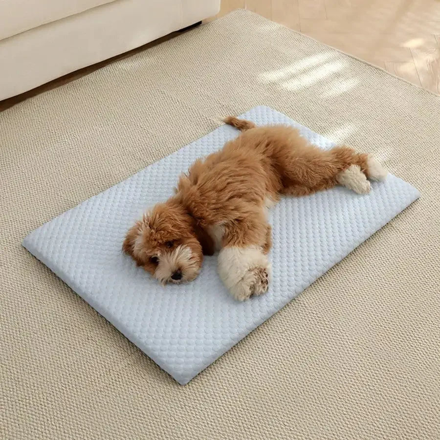 Cooling Cat Bed with Thick Padding