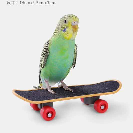 Interactive Bird Training Toy Set