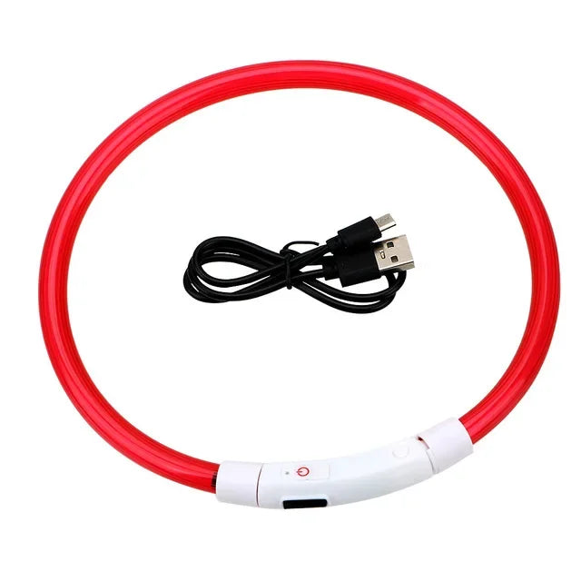 LED Light Up Dog Collar with USB Charging