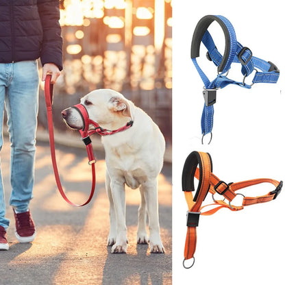 Adjustable Dog Muzzle Training Leash