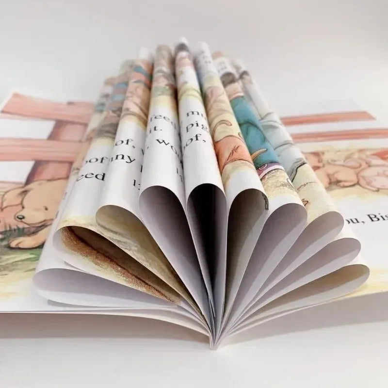 27 Books Set Phonics English Picture Reading Books
