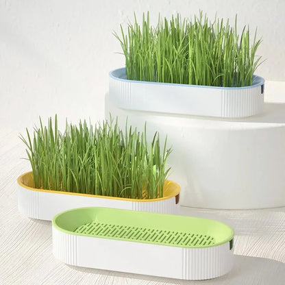Hydroponic Cat Grass Growing Kit
