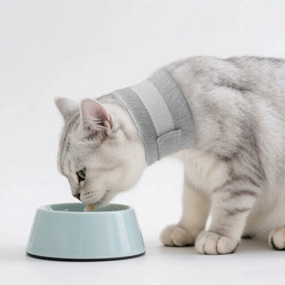 Adjustable Dog Neck Brace for Surgery Recovery