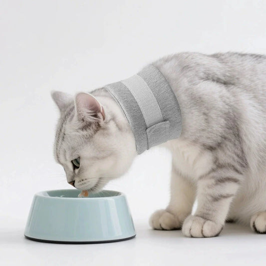 Adjustable Dog Neck Brace for Surgery Recovery