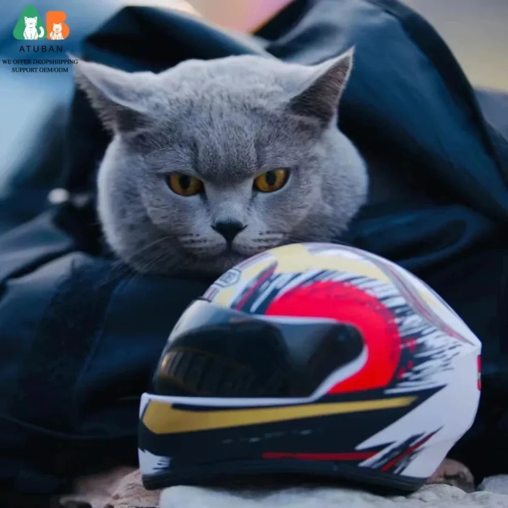 Full Face Decorative Helmet for Small Dogs & Cats