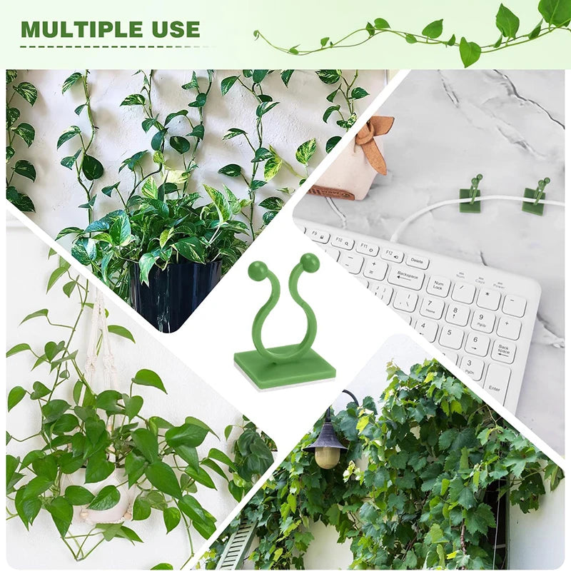 Self-Adhesive Plant Wall Clips for Climbing Vines