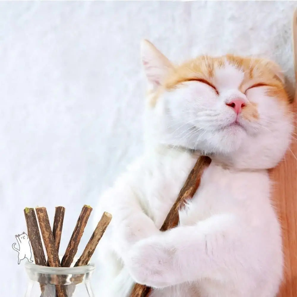 Natural Catnip Silvervine Chew Sticks for Cats