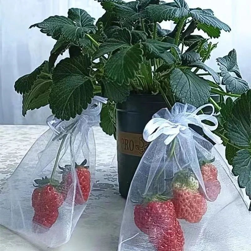 Fruit Protection Grow Bags