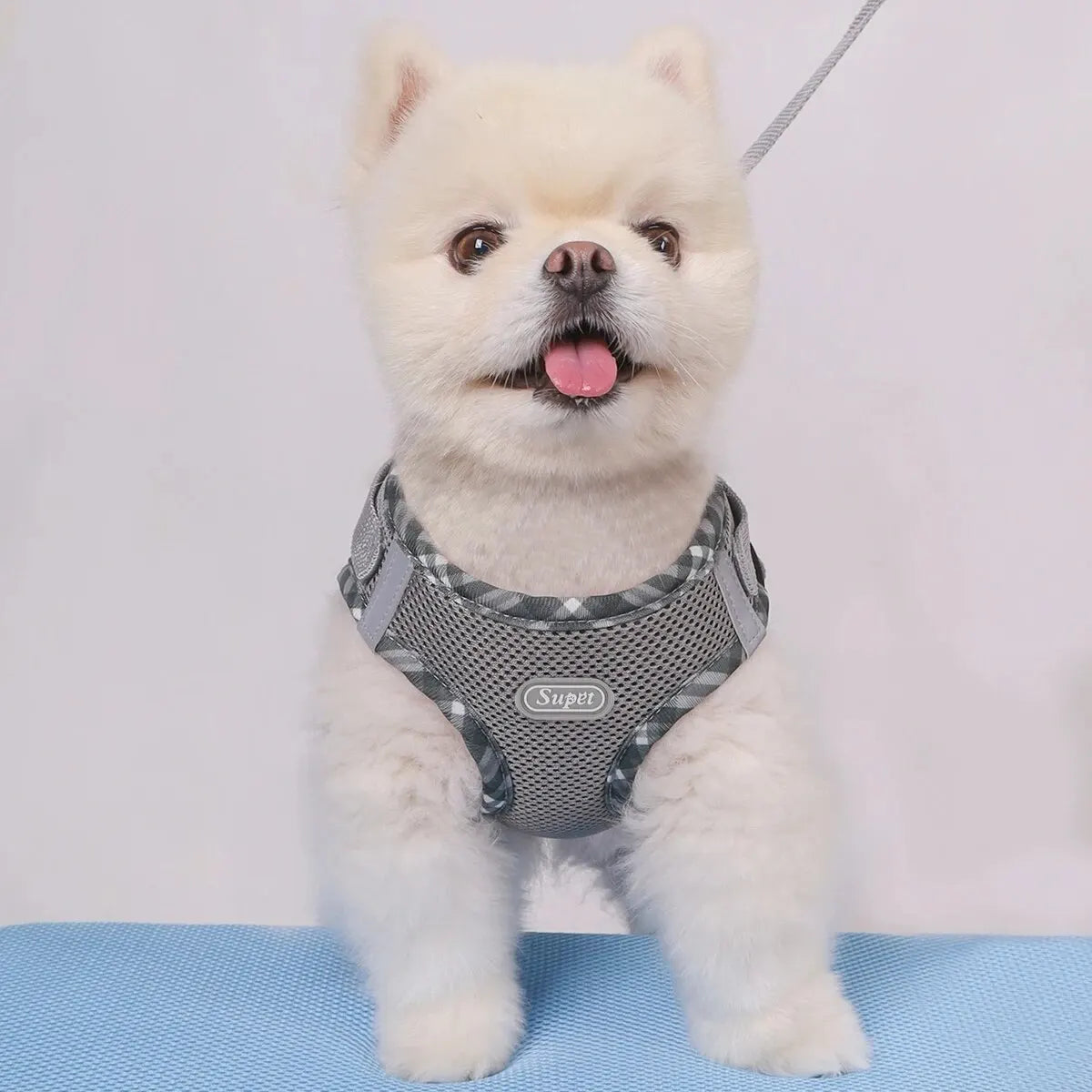Supet Adjustable Anti-Pull Dog Harness