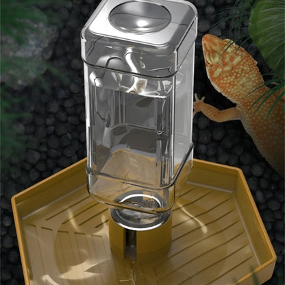 Reptiles Water Feeder Bowl