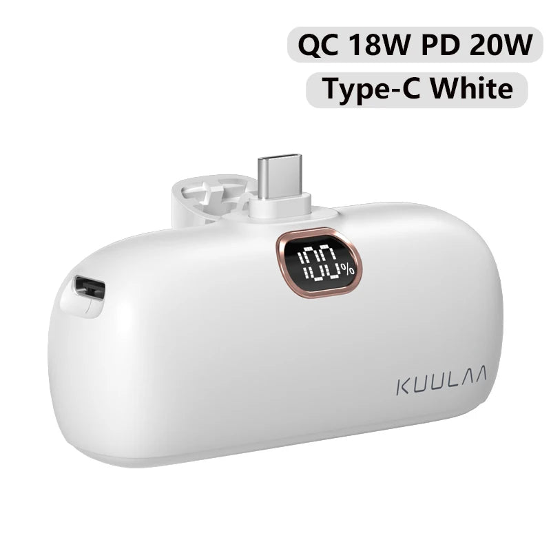 20W Fast Charging Portable Power Bank