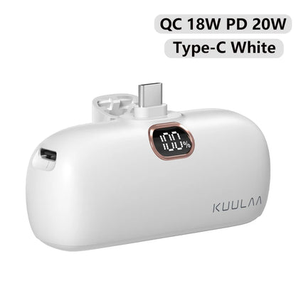 20W Fast Charging Portable Power Bank
