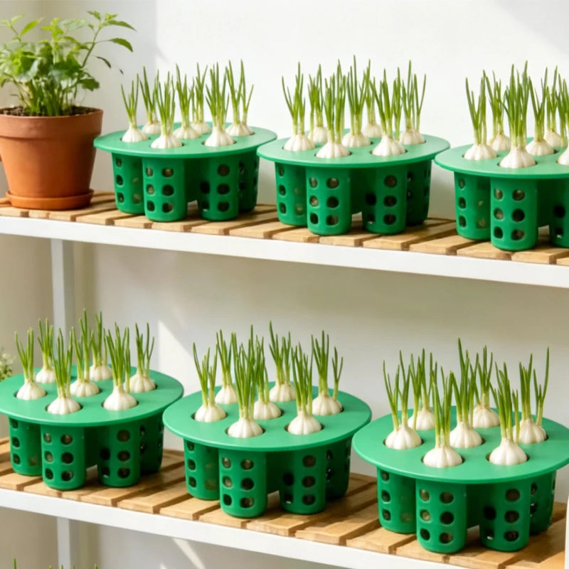 Hydroponic 7-Hole Seedling Starter Tray