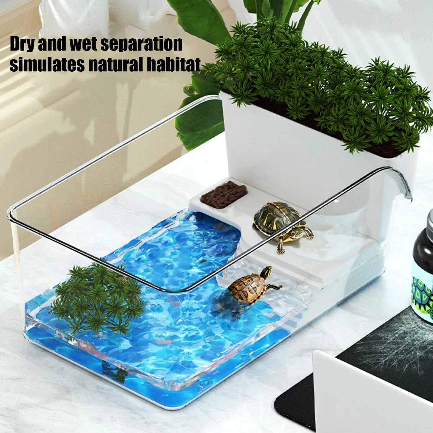 Transparent Turtle Habitat Tank
