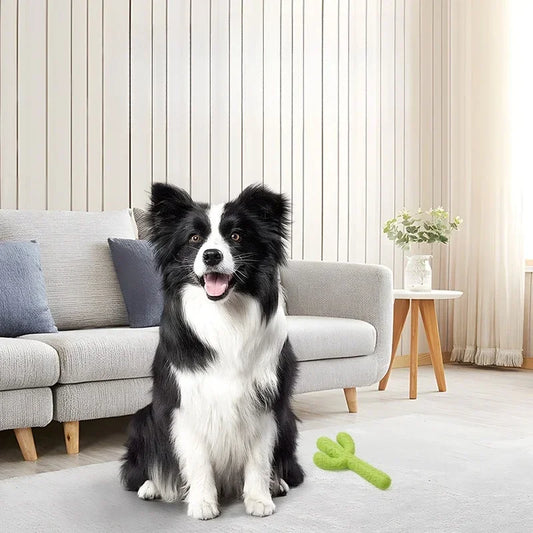 Cactus Dog Chew Toy for Aggressive Chewers