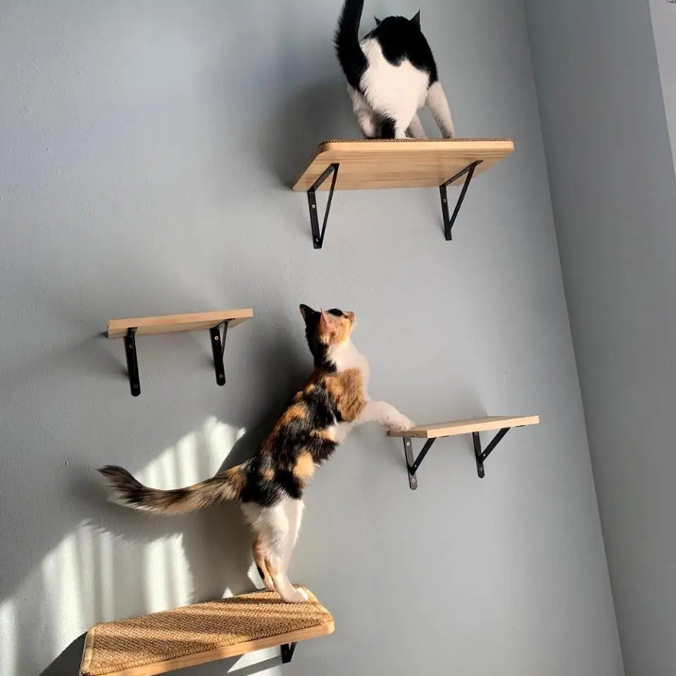 Wooden Wall-Mounted Cat Climbing Shelves & Play Set