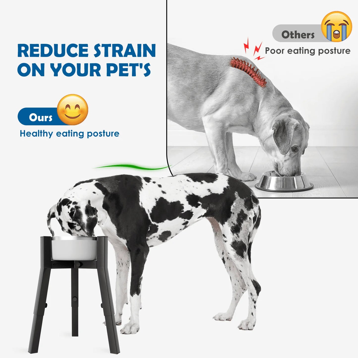 Adjustable Raised Dog Bowl Stand for Medium to Extra Large Dogs