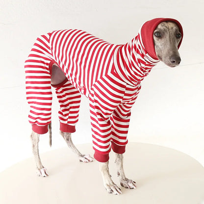 Striped Cotton Dog Pajamas for Italian Greyhounds & Whippets