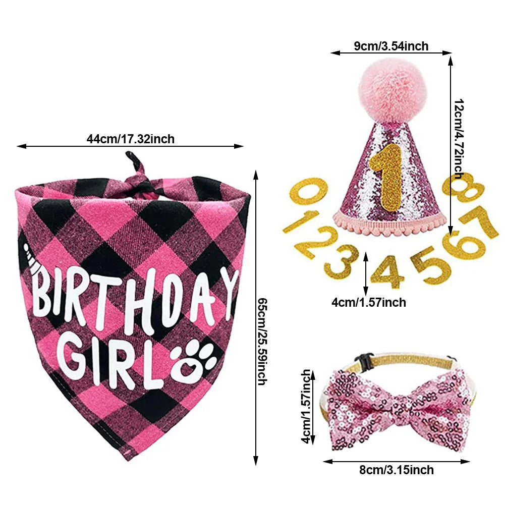 Dog Birthday Party Hat & Bandana Set