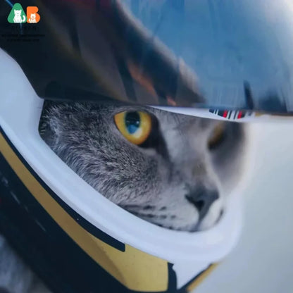 Full Face Decorative Helmet for Small Dogs & Cats