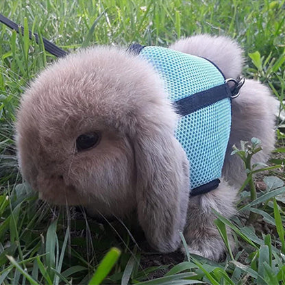 Breathable Small Pet Harness & Leash Set