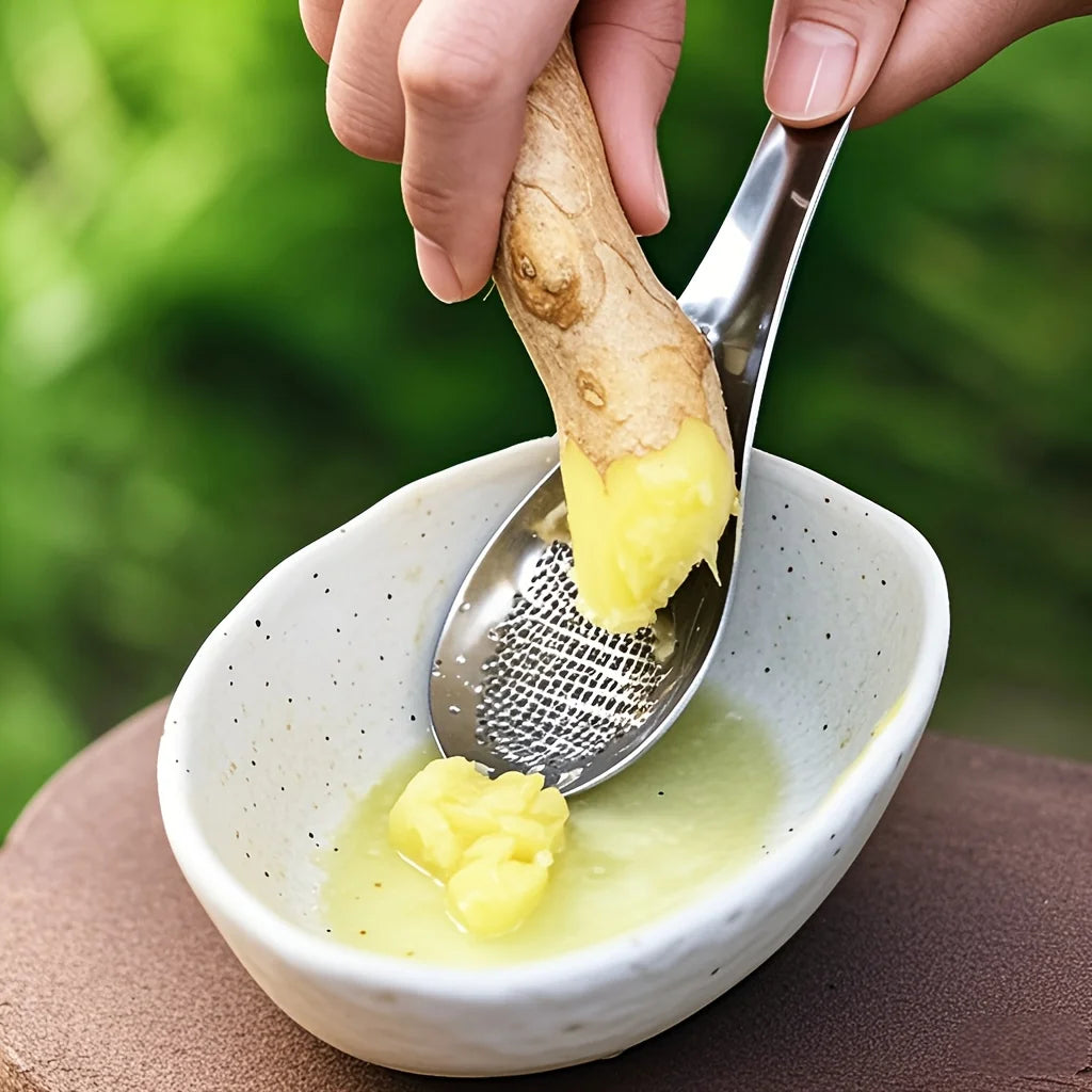 Stainless Steel Garlic Grater