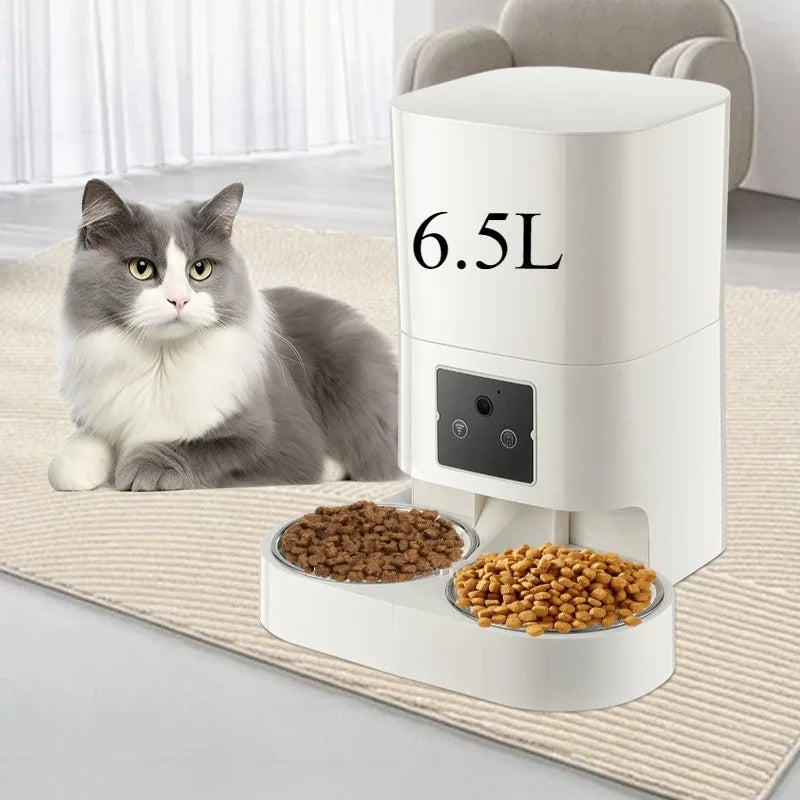 Programmable Timed Dry Food Dispenser for Cats & Small Dogs
