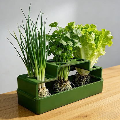 Hydroponic Green Onion Growing Planter