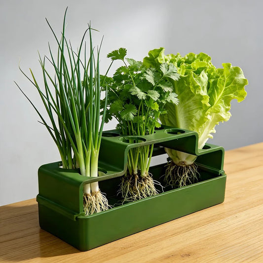 Hydroponic Green Onion Growing Planter