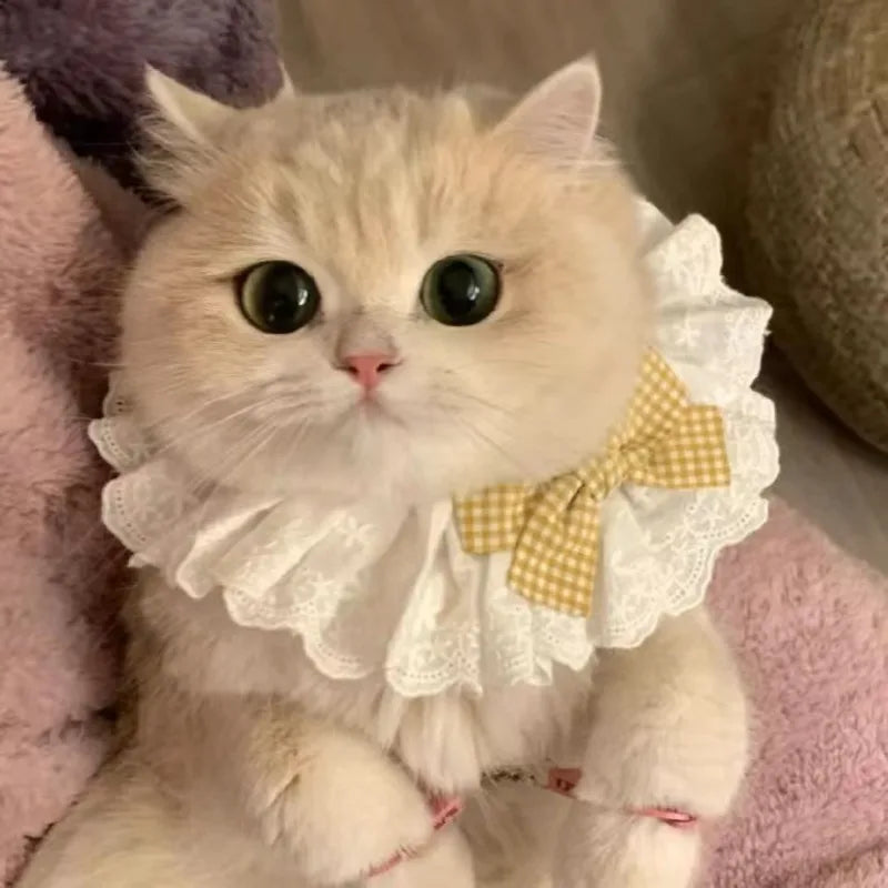 Silk Wedding Style Cat & Dog Collar with Bow Tie