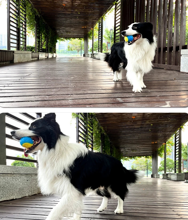 TPR Squeaky Dog Ball Toy